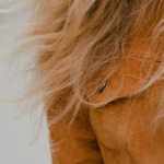 Capelli che si spezzano? I rimedi più efficaci per rinforzarli e farli tornare sani
